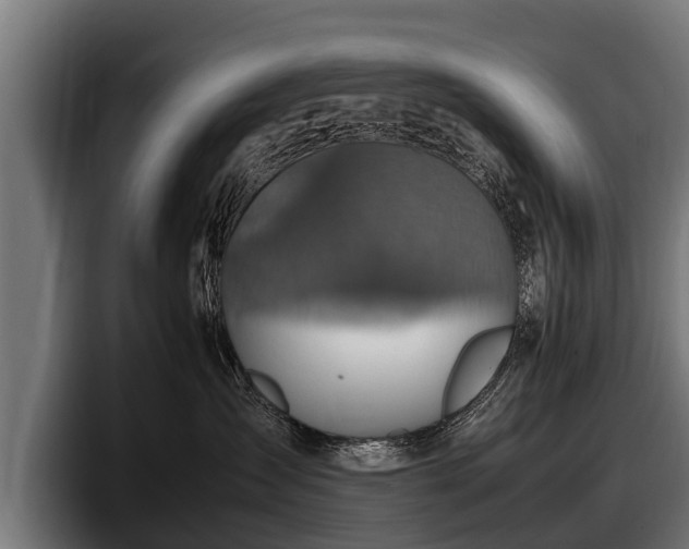 X0000097820431200803201441