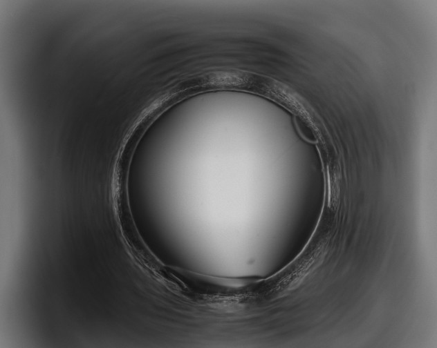 X0000097820435200803201440