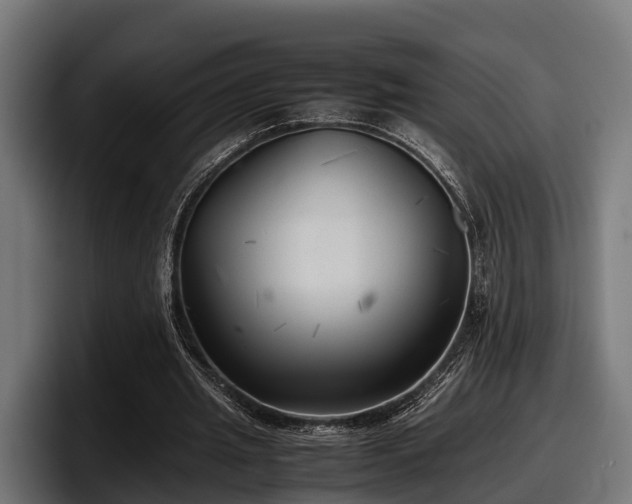 X0000097820437200803201440