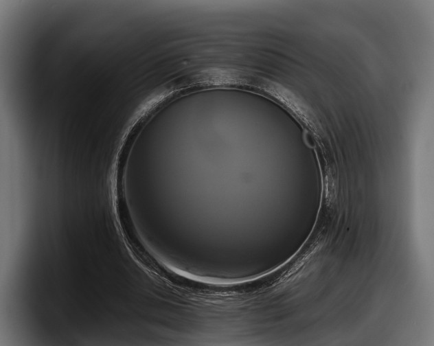 X0000097820438200803201440