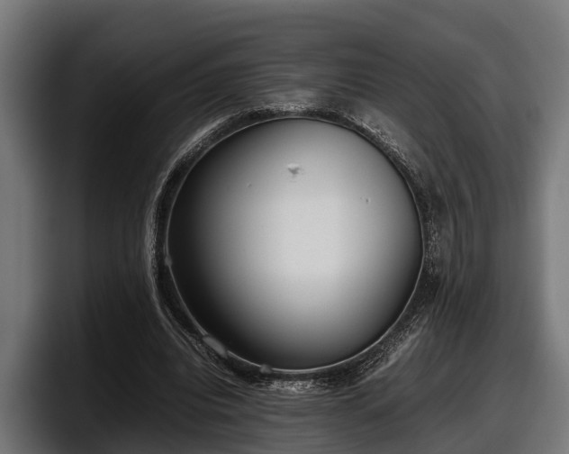 X0000097820440200803201441