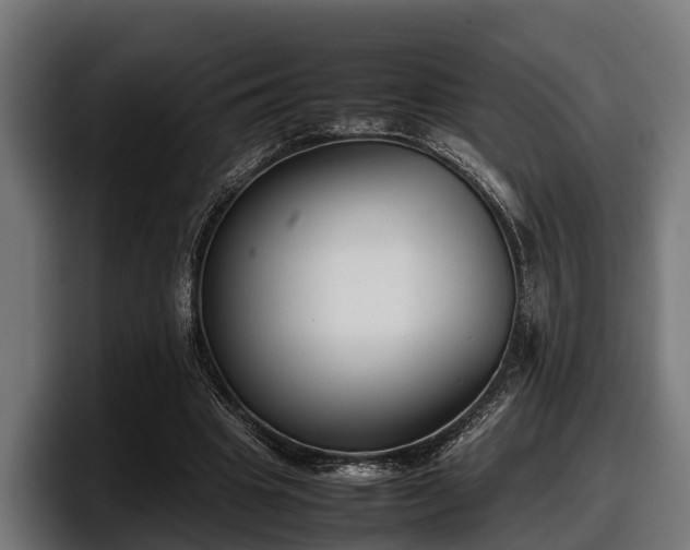 X0000097820441200803201441