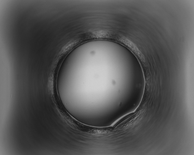 X0000097820442200803201441