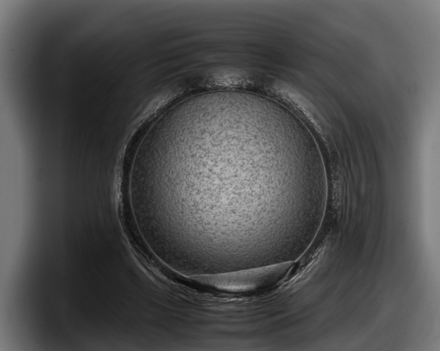 X0000097820443200803201441