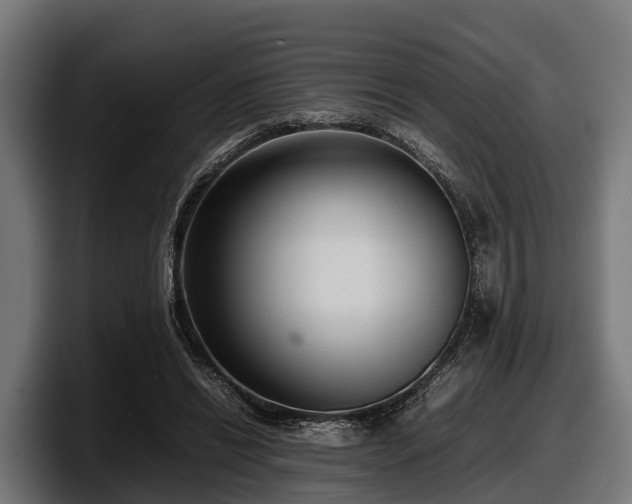 X0000097820446200803201441