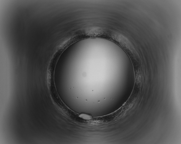 X0000097820448200803201441