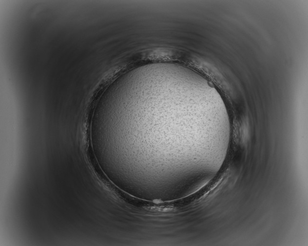 X0000097820449200803201441