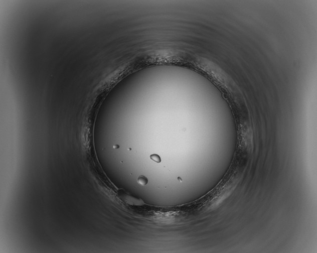 X0000097820450200803201441