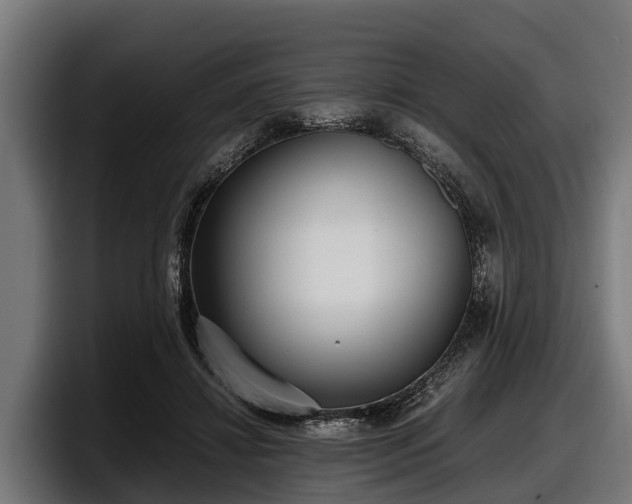 X0000097820452200803201441