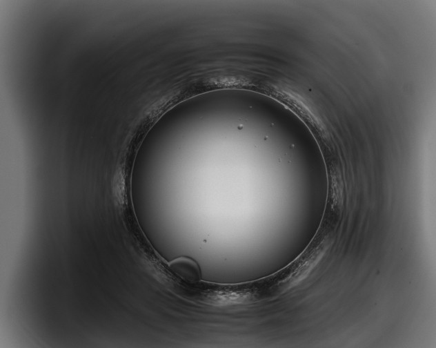 X0000097820453200803201441