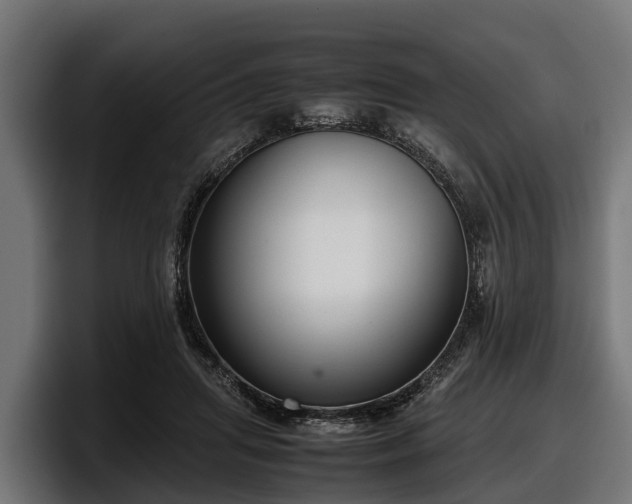 X0000097820455200803201441