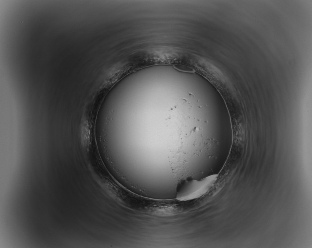 X0000097820456200803201441