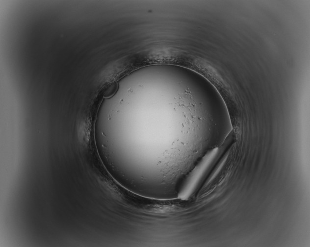 X0000097820458200803201441