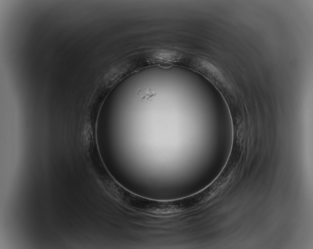 X0000097820459200803201441