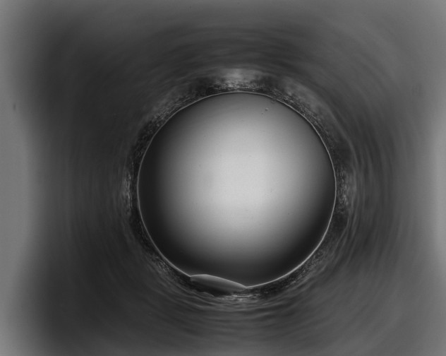 X0000097820461200803201441