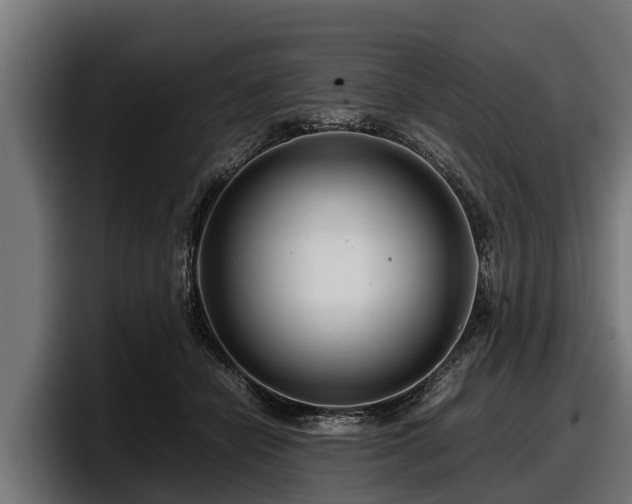 X0000097820462200803201441