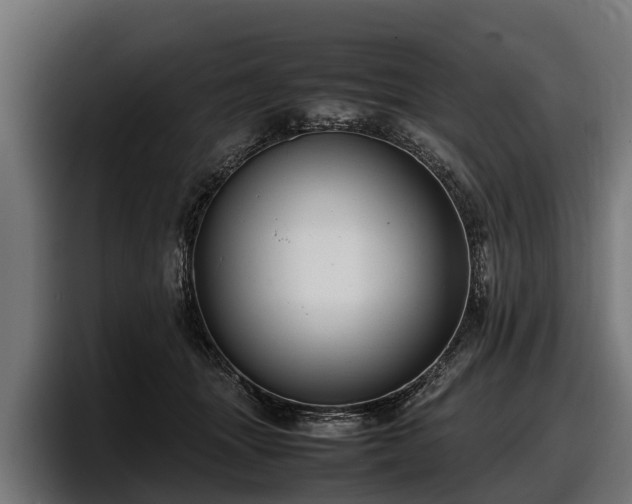 X0000097820463200803201441