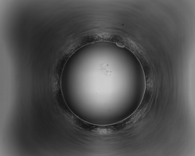 X0000097820464200803201441