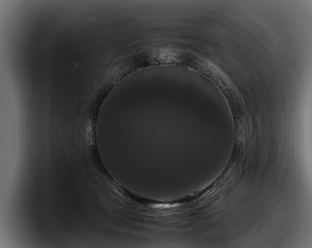 X0000097820465200803201441