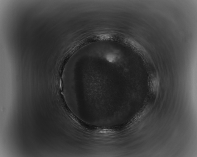 X0000097820467200803201441