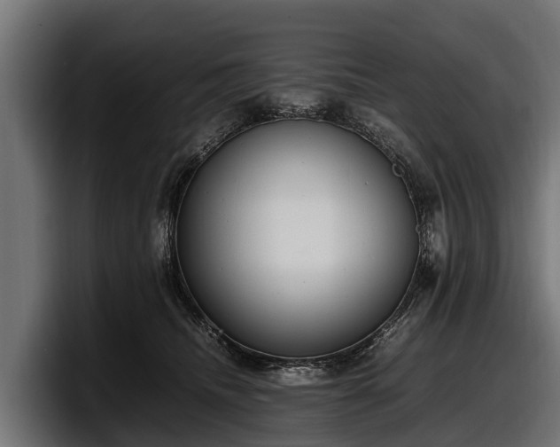 X0000097820468200803201441