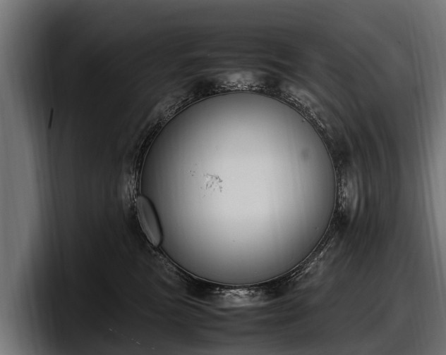 X0000097820473200803201441