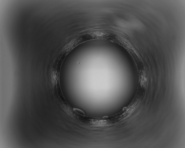 X0000097820476200803201441