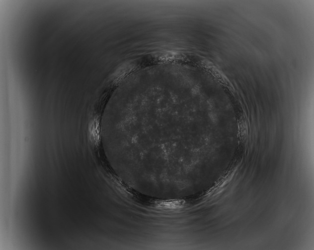 X0000097820479200803201441