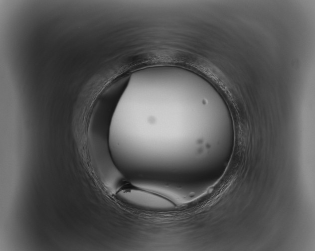 X0000097820481200803201440