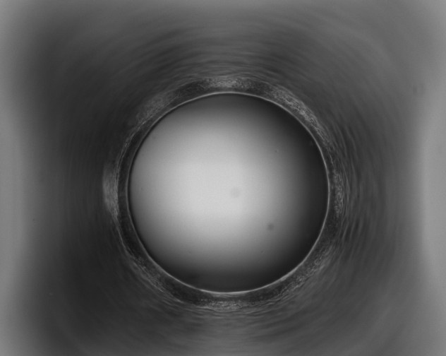 X0000097820482200803201440