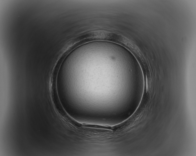 X0000097820483200803201440