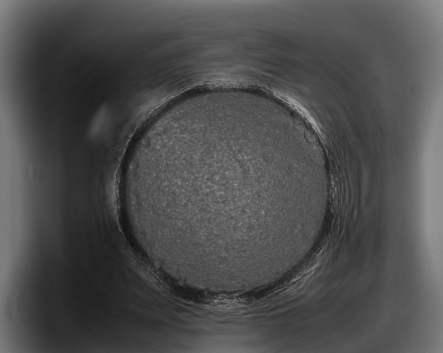 X0000097820487200803201440