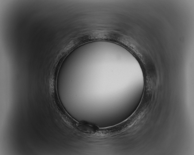 X0000097820489200803201440