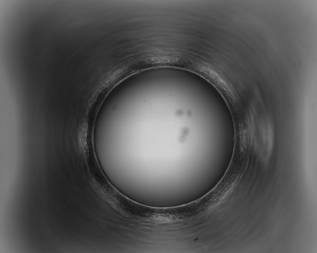 X0000097820490200803201440