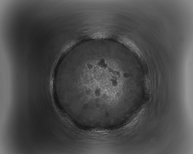 X0000097820491200803201440