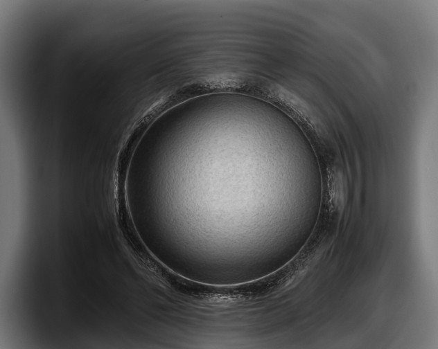 X0000097820494200803201440