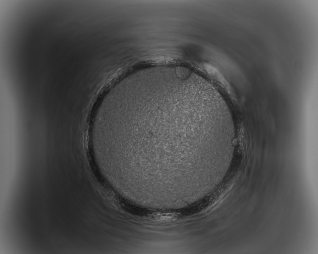 X0000097820495200803201440