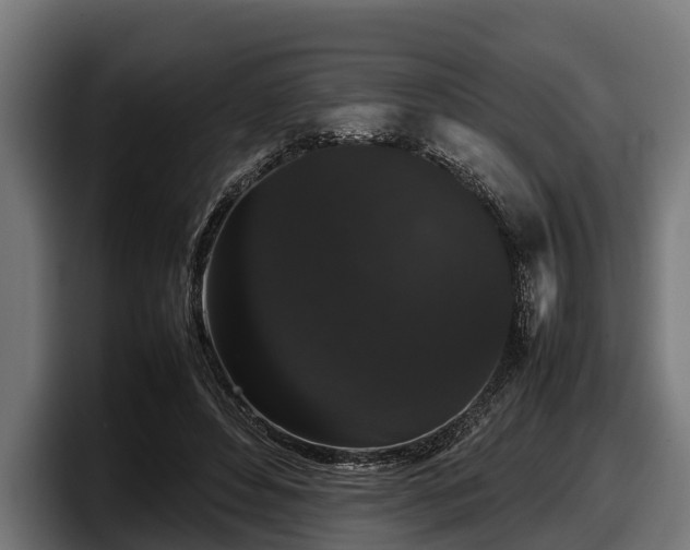 X0000097820496200803201440