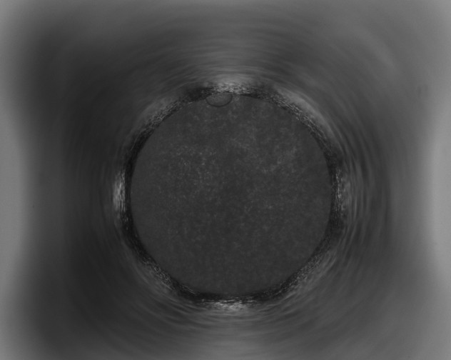 X0000097820502200803201440