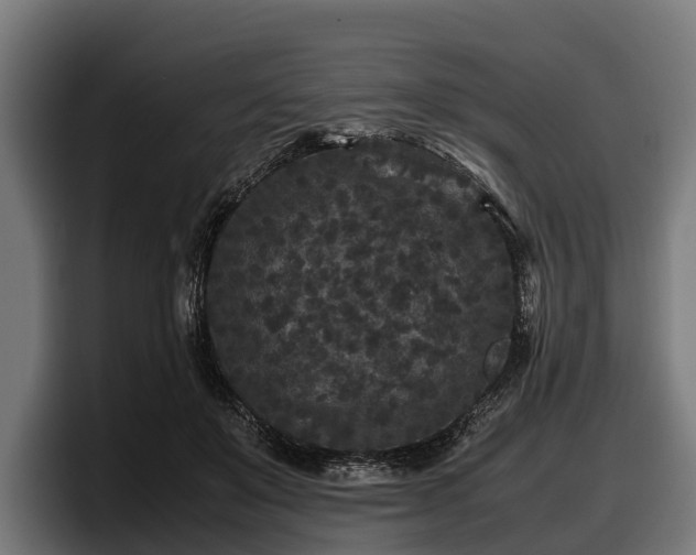 X0000097820503200803201440