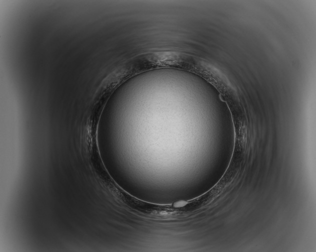 X0000097820506200803201440