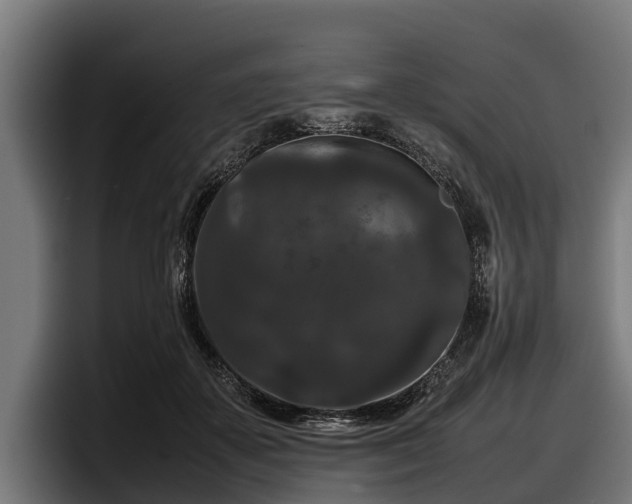 X0000097820507200803201440