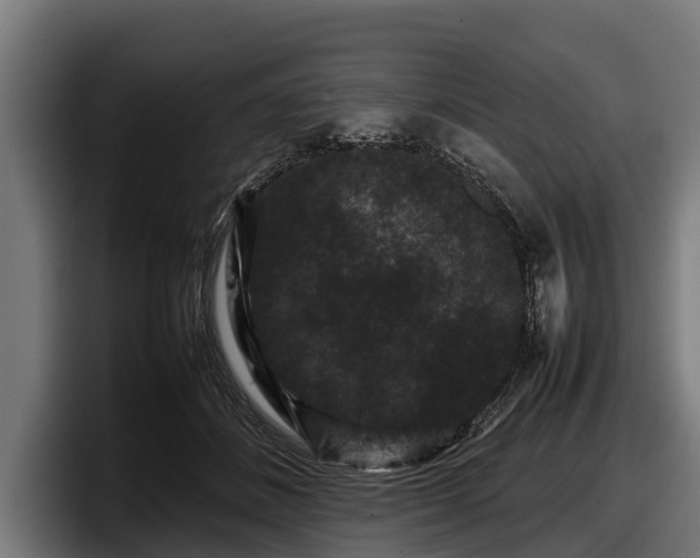 X0000097820508200803201440