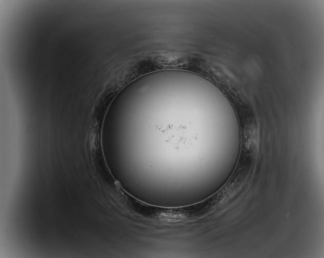 X0000097820515200803201440