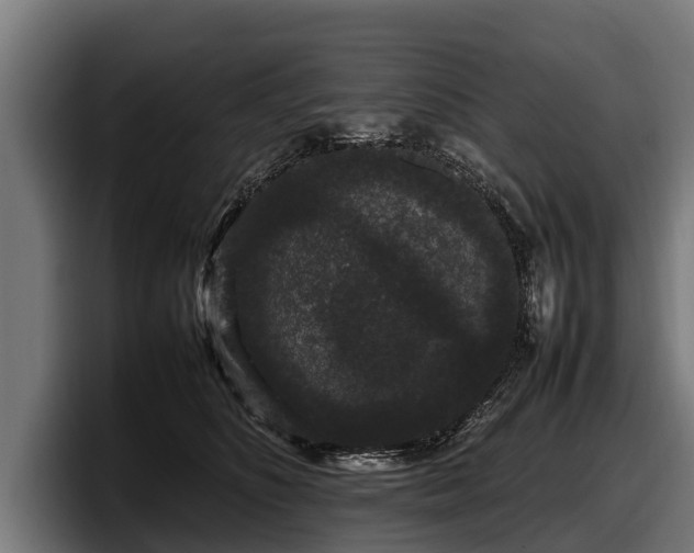 X0000097820516200803201440