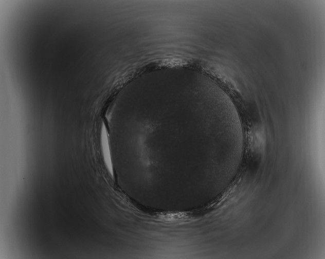 X0000097820517200803201440