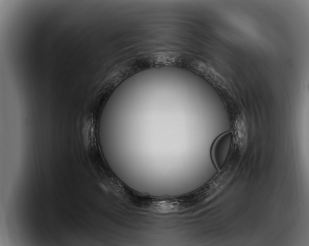 X0000097820522200803201440