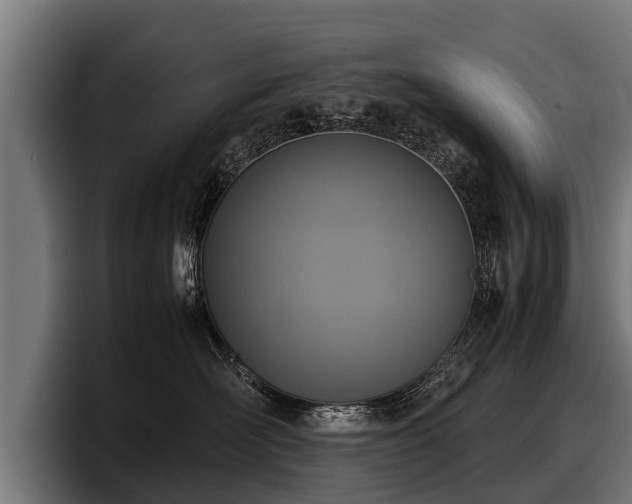 X0000097820526200803201440