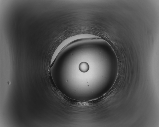 X0000097820528200803201440