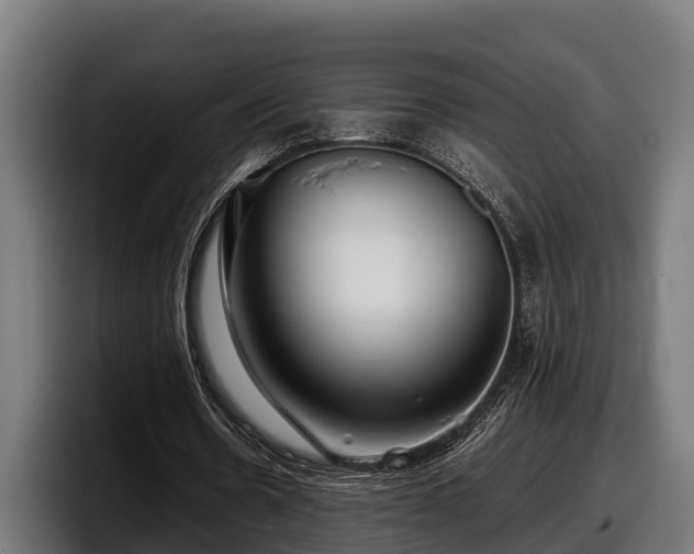 X0000097820530200803201439